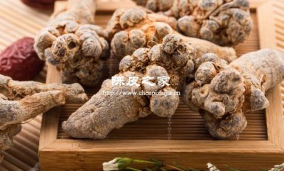 三七陈皮一起打粉吃的功效