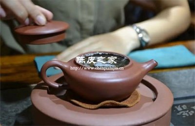 九制陈皮与什么泡茶比较合适