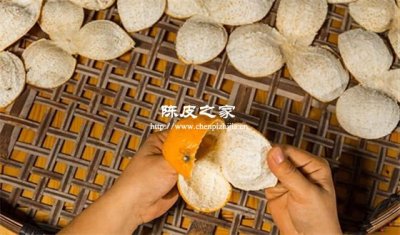 做新会陈皮的鲜皮要晒多长时间