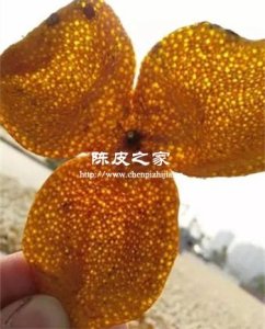 打灯看陈皮透光就是新会陈皮吗