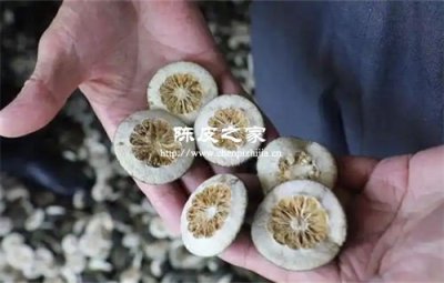 枳壳和陈皮煮水喝的功效