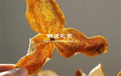新会陈皮表皮“油胞”越多越好吗
