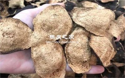陈皮泡水喝真的能止咳化痰吗？