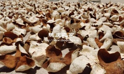 晒陈皮要不要反向皮那边晒，这是为什么