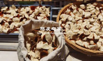 陈皮加白萝卜煮水为啥是苦味的