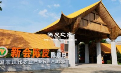 陈皮价钱不一样功效也不一样吗