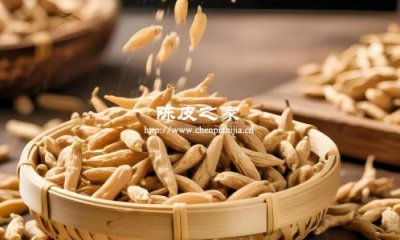 陈皮麦冬可以一起煮水吗