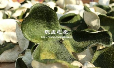 陈皮的口感都会受到什么因素的影响