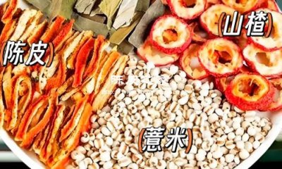 陈皮山楂薏仁水喝完之后老放屁是为啥