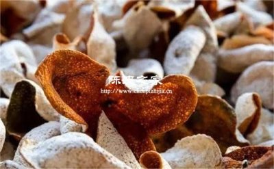 南坦陈皮和天马陈皮的区别