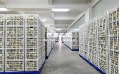 智能恒温仓如何颠覆传统陈皮陈化工艺？