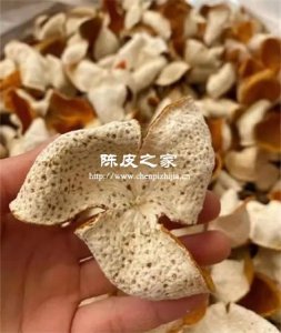 陈皮直接煮还是泡？不同年份的正确饮用方式