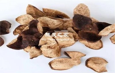 夏季用陈皮和柠檬一起泡水喝好吗？