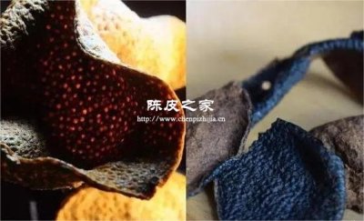 你买的陈皮是真的吗？3招教你避开“做旧皮”陷阱