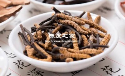 冬虫夏草加陈皮泡水喝有什么功效