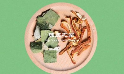 荷叶加竹叶加陈皮泡水可以吗，有什么功效