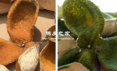 陈皮价格大揭秘：近年走势与当下行情