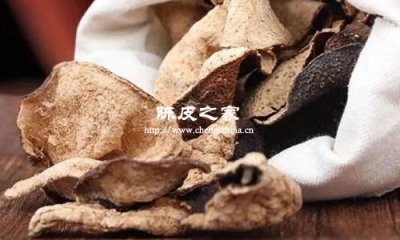 解锁陈皮散结奥秘，附最佳存放攻略