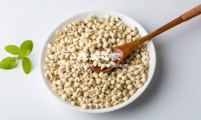 喉咙干痒？陈皮配川贝煮水比喝糖水管用