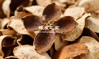 吃陈皮会上火吗？答案来了