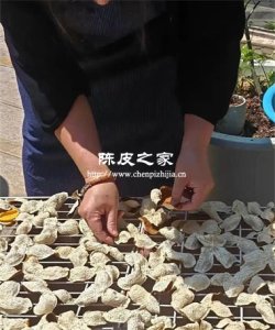 陈皮在存放过程中多久需要翻晒