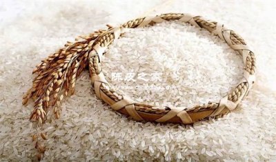 雨季祛湿神器！陈皮炒米茶快手做法