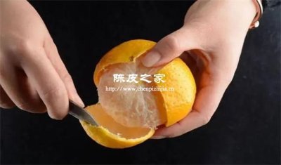 三刀开皮：岭南匠人守护的千年陈化密码