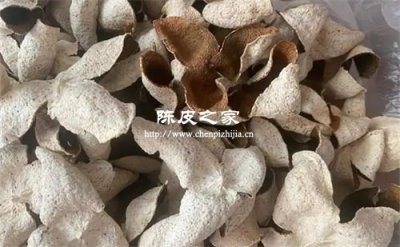 陈皮陈几年才算有药效？