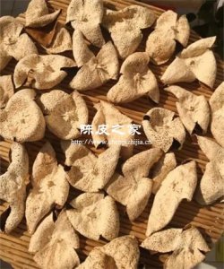 陈皮翻晒最好在每年的什么时间