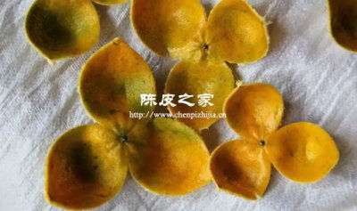 湿陈皮别暴晒！教你正确保存法，放 5 年依然香醇