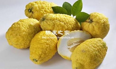 陈皮配香橼，理气宽胸新选择