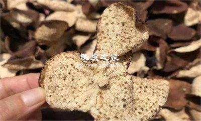 陈皮九制话梅芯，酸甜生津回味长