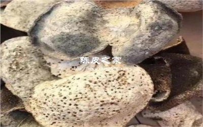 陈皮已经发霉了还能吃吗？