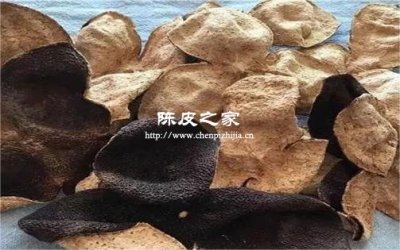 陈皮陈香背后的微生物战争
