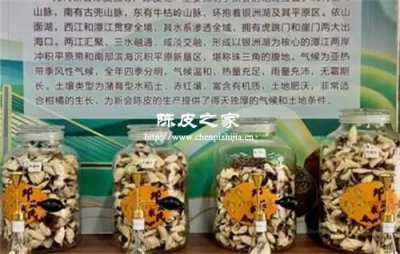 元宇宙陈皮博物馆：数字藏品的文化IP