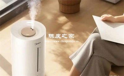 空调房喉咙干？陈皮雪梨饮比加湿器更管用